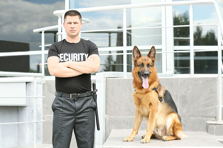 Security services